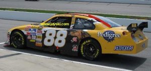 2007 88pedegree Rir