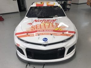 Natty Seltzer Paint Scheme 1
