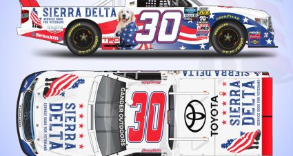 Sierra Delta Paint Scheme 1 