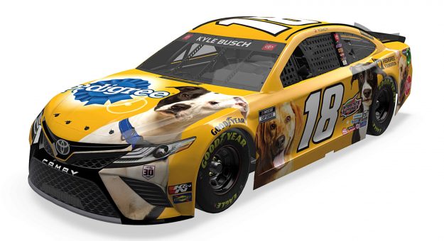 Visit Kyle Busch to run Pedigree Foundation entry at Nashville Superspeedway page