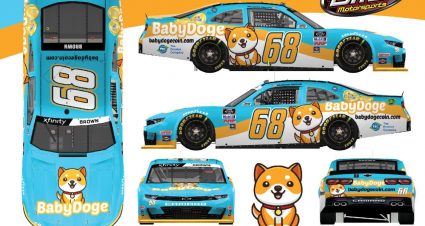 Brandon Brown Baby Doge Coin