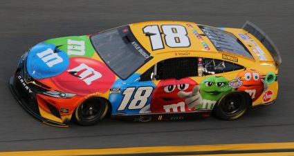 18 Kylebusch
