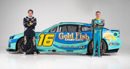 2022 16 Gold Fish