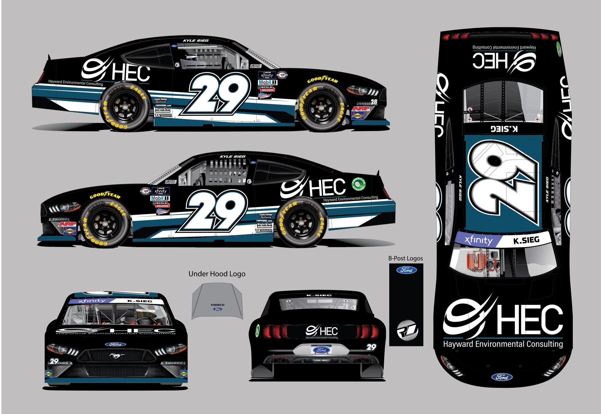 Kyle Sieg Las Vegas Scheme