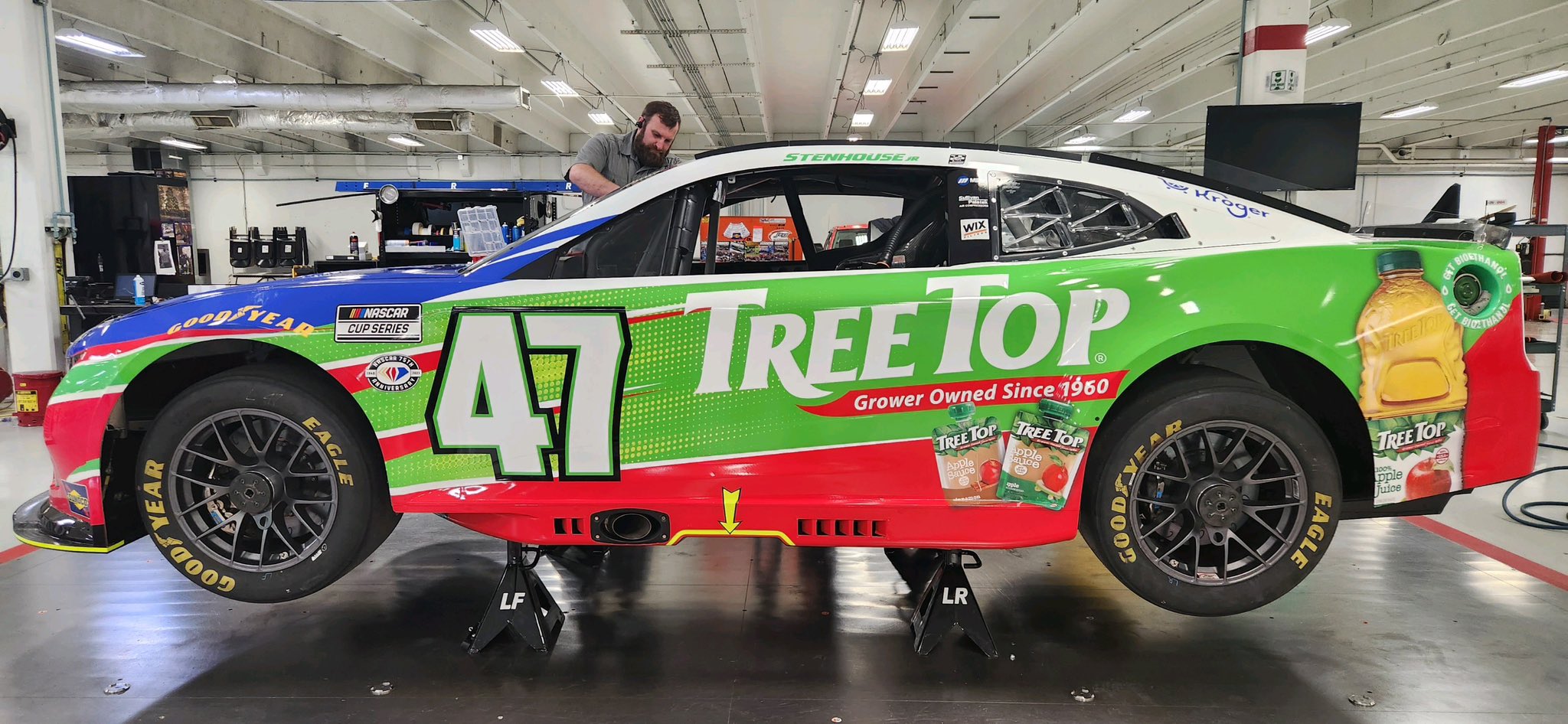 Ricky Stenhouse Jr Tree Top