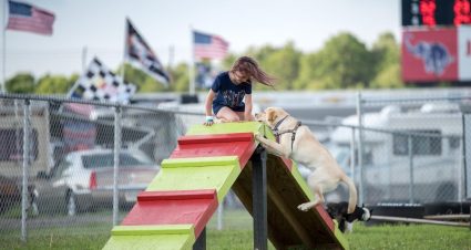 Pocono Raceway Bark Park