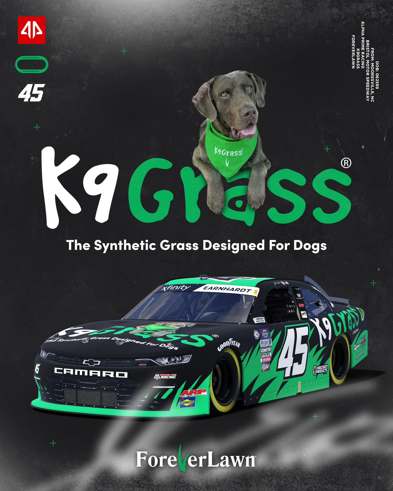 Jeffrey Earnhardt Bristol Scheme