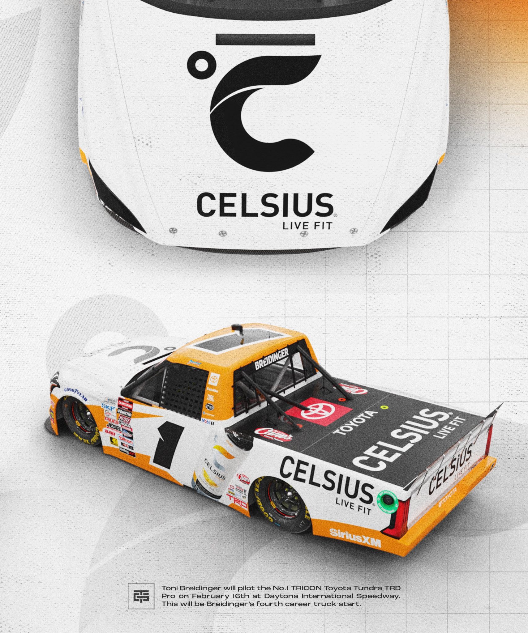 Toni Breidinger Daytona Scheme