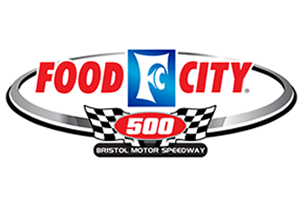 Visit Statistical Advance: Analyzing the Food City 500 page