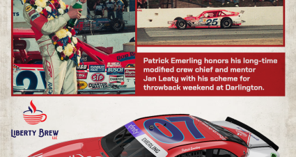 Patrick Emerling Darlington Scheme