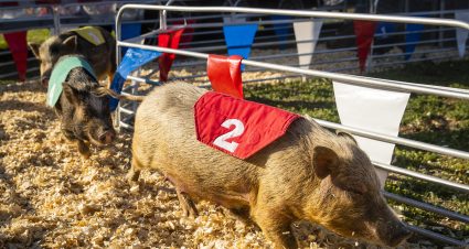 Scenes from NASCAR at Circuit of The Americas in Austin, Texas on March 26, 2022. Photo by Adam Glanzman