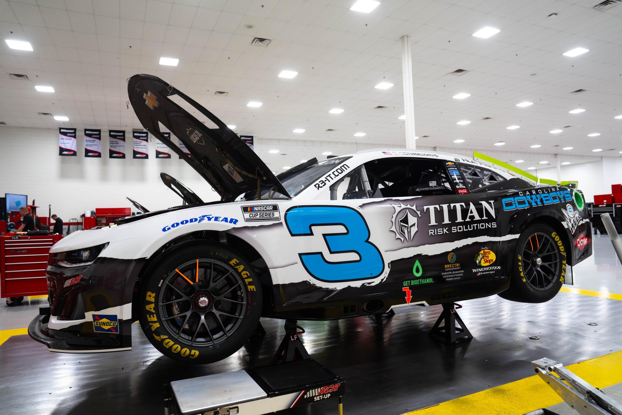 Austin Dillon Charlotte Scheme