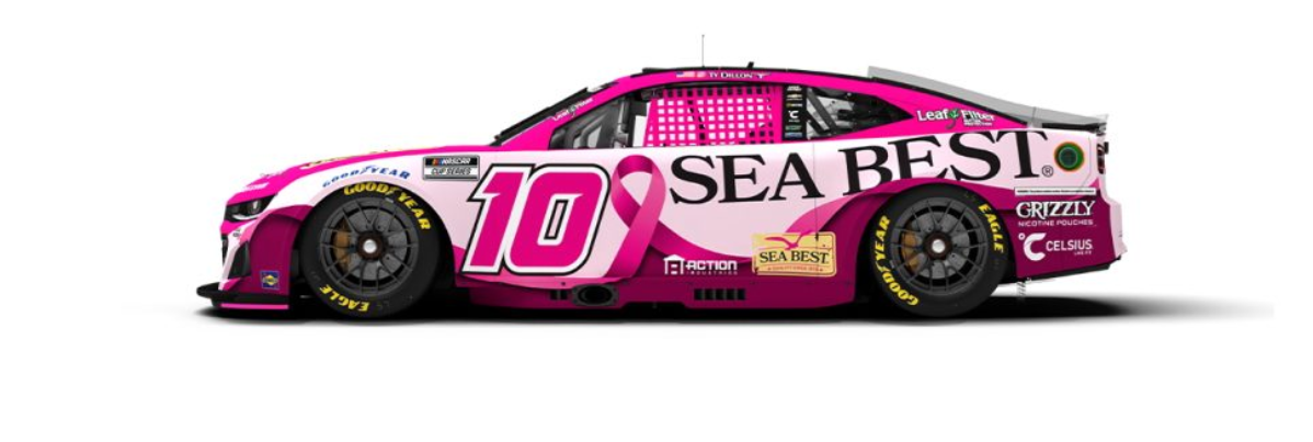 Ty Dillon Charlotte Scheme