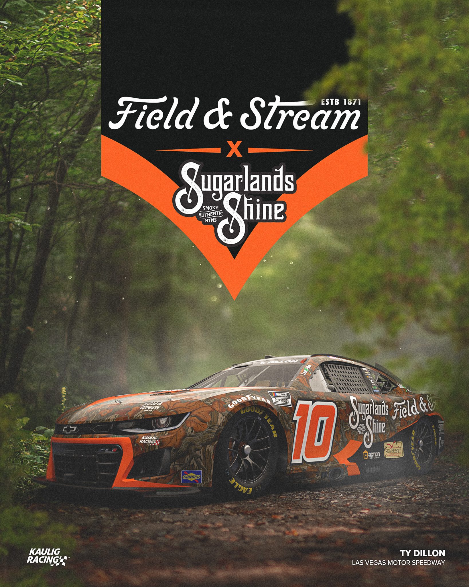 Ty Dillon Las Vegas Scheme