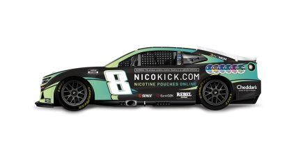 Nicokick Rave Livery Pr White