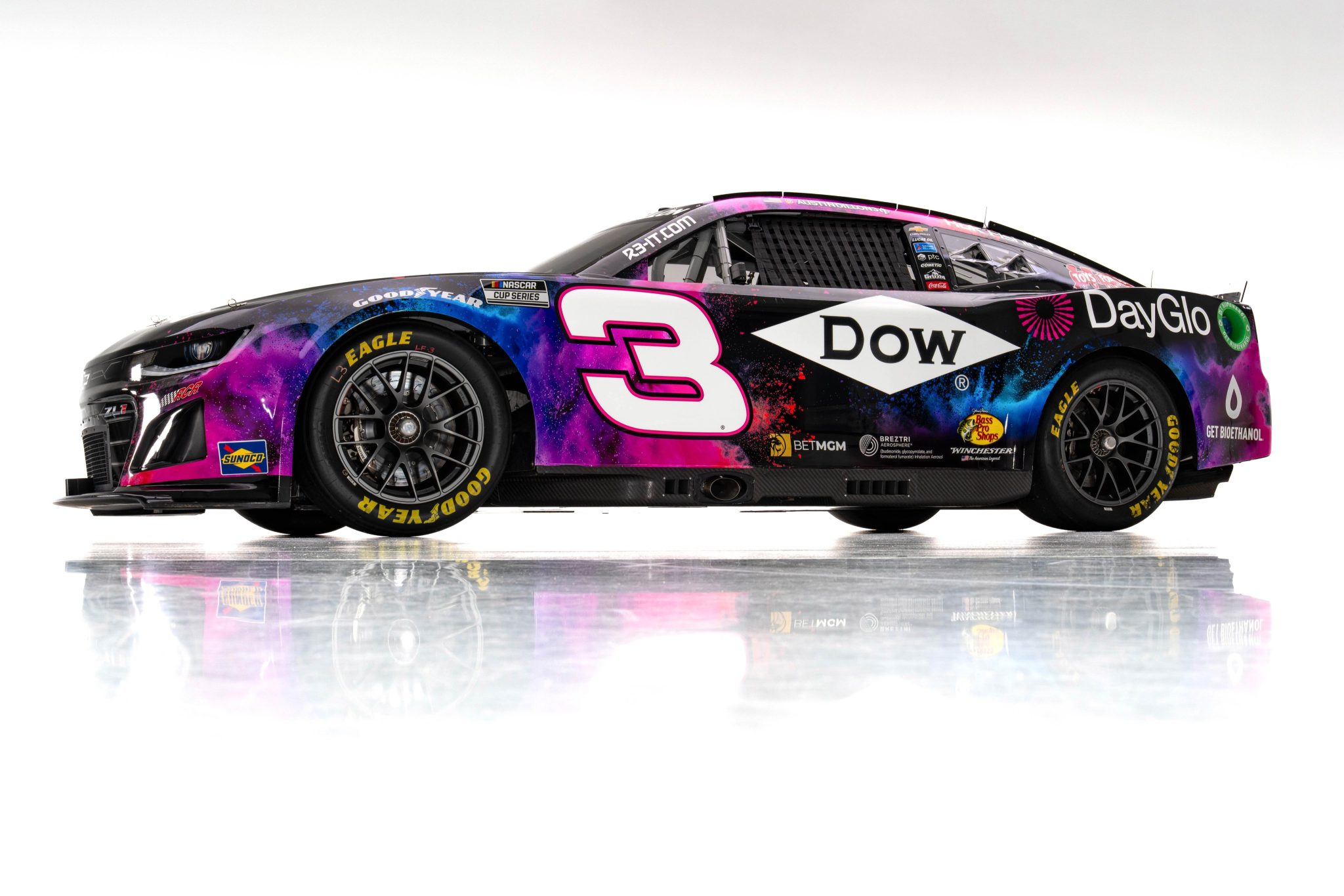 Austin Dillon Gateway Scheme