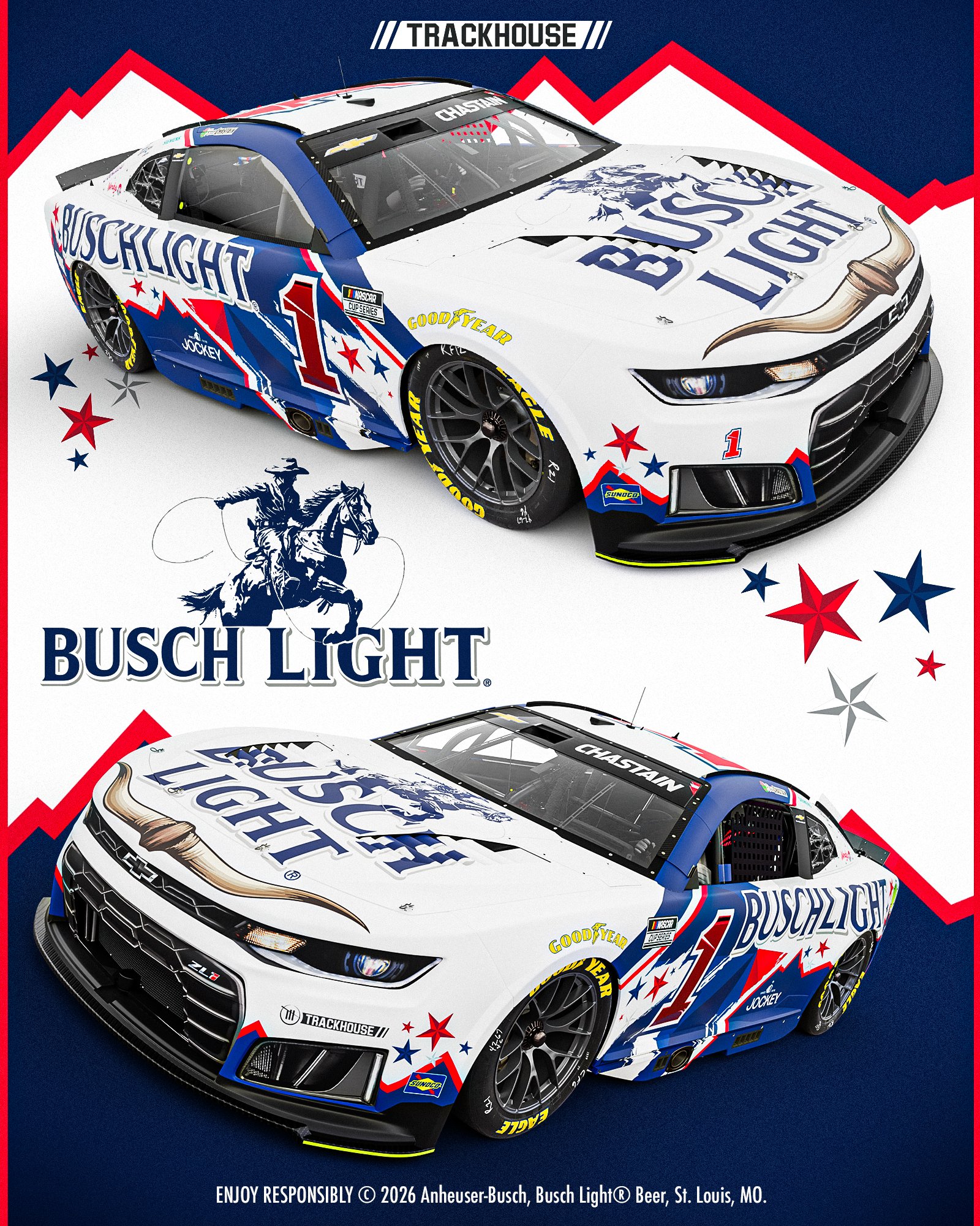 Ross Chastain Cota Scheme