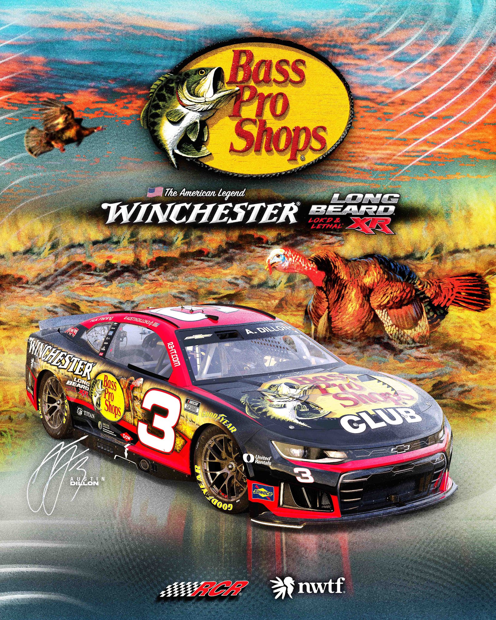 Austin Dillon Darlington Scheme