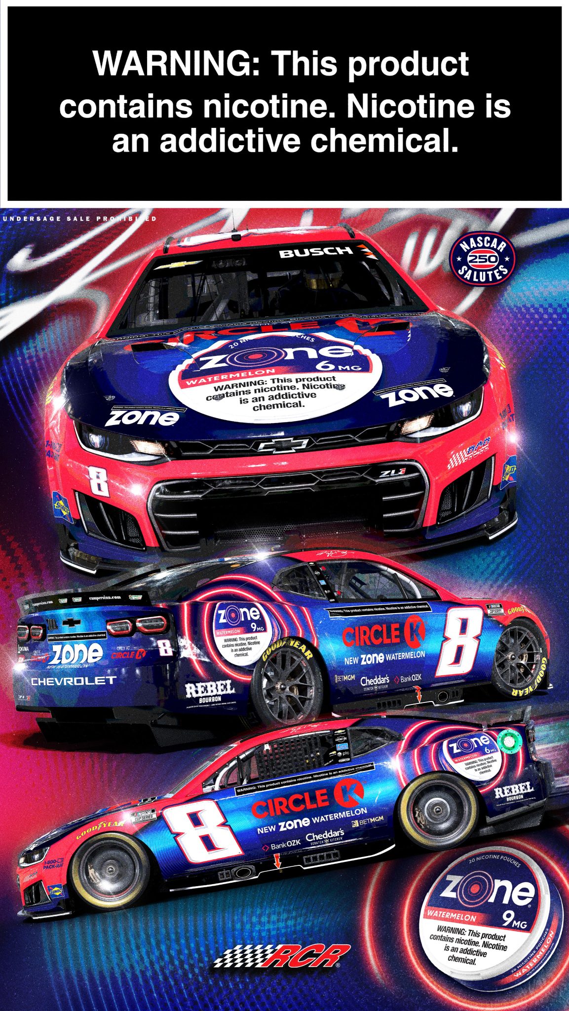 Kyle Busch Texas Scheme