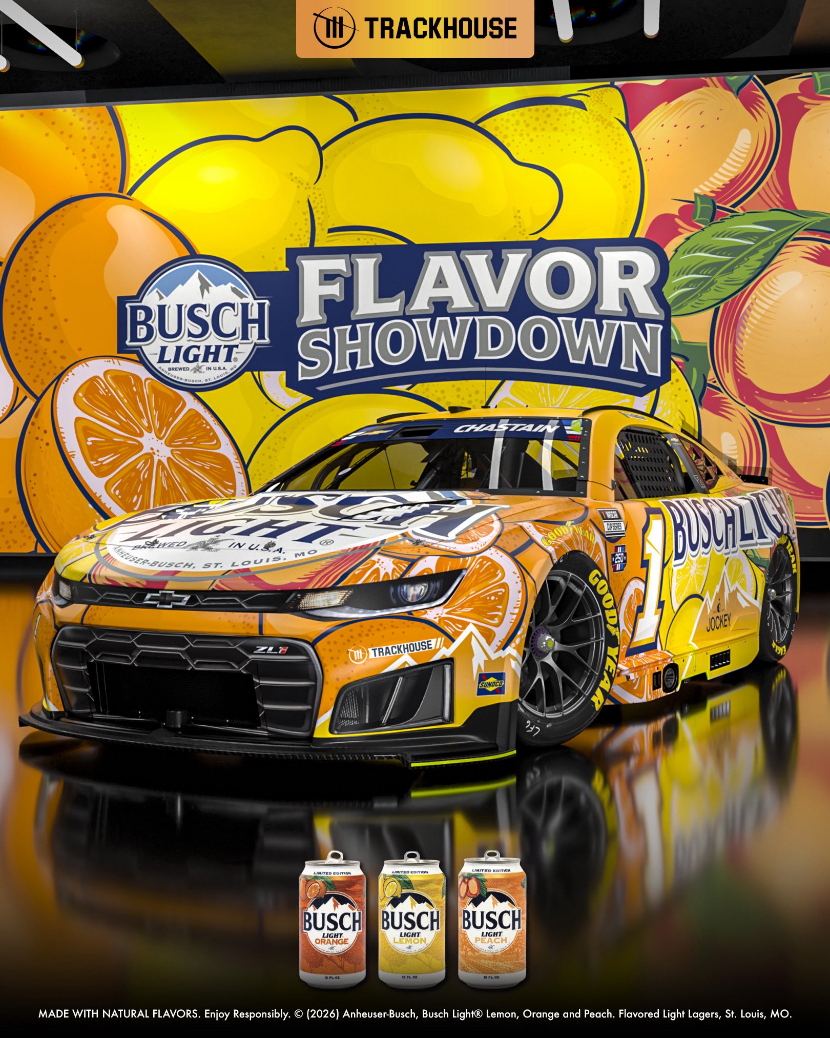 Ross Chastain Chicagoland Scheme
