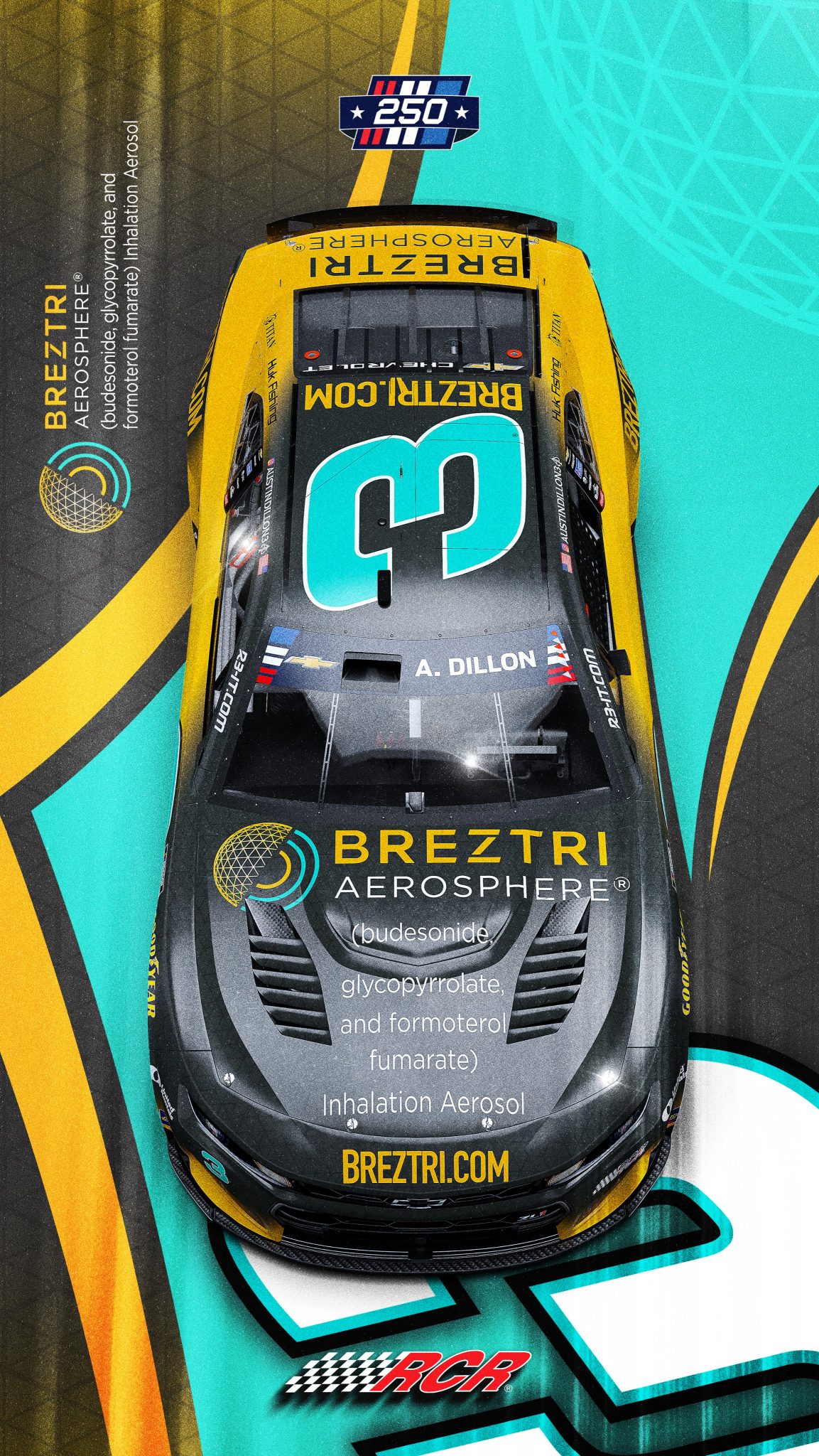 Austin Dillon Indianapolis Scheme
