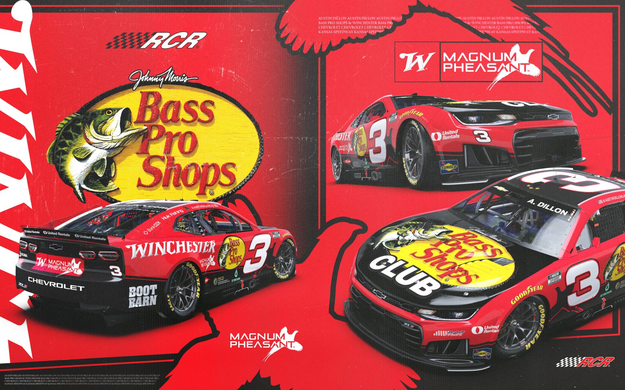 Austin Dillon Kansas Scheme